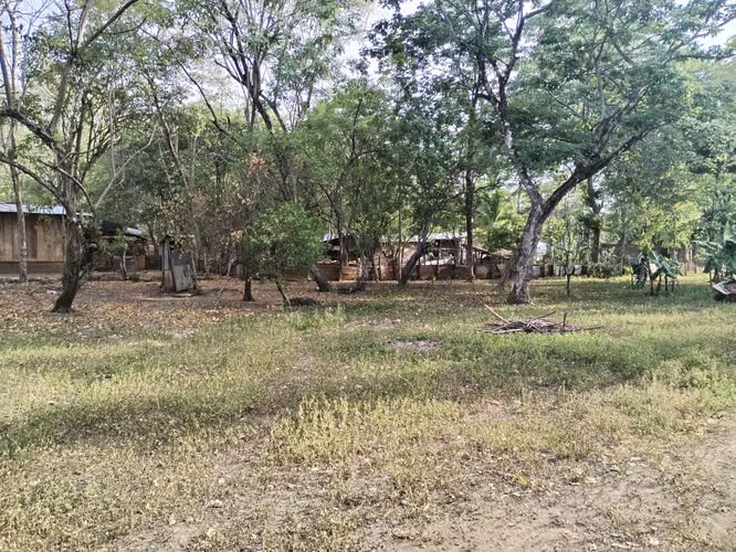 Se venden 4 tareas y medias