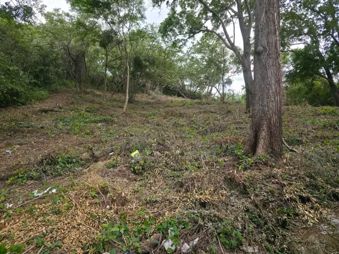 TERRENO EN VENTA | BALCONES DE SANTO DOMINGO, MANAGUA