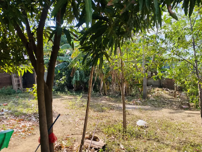 Terreno De 20 por 25 Negociable  - Imagen 5