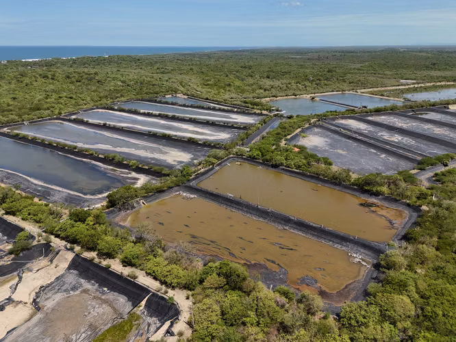 Shrimp aquaculture farm for sale - Imagen 4