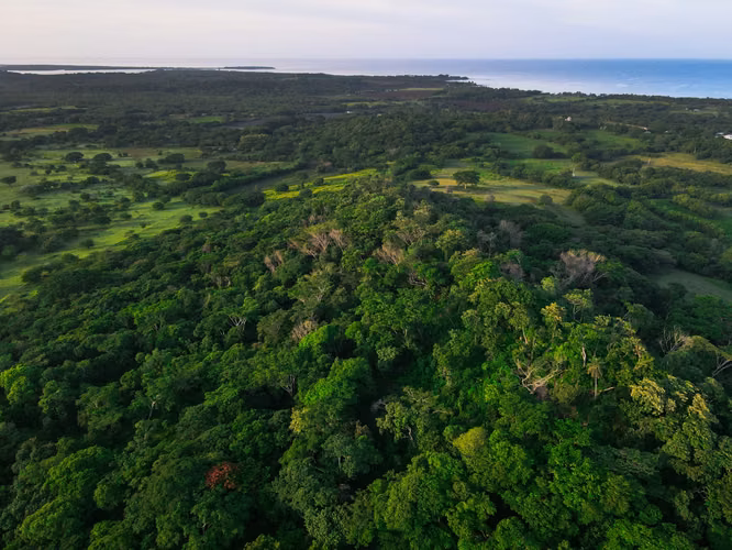 Highest Hill in the area, with inspiring views of the ocean, estuary, volcanoes - Imagen 4