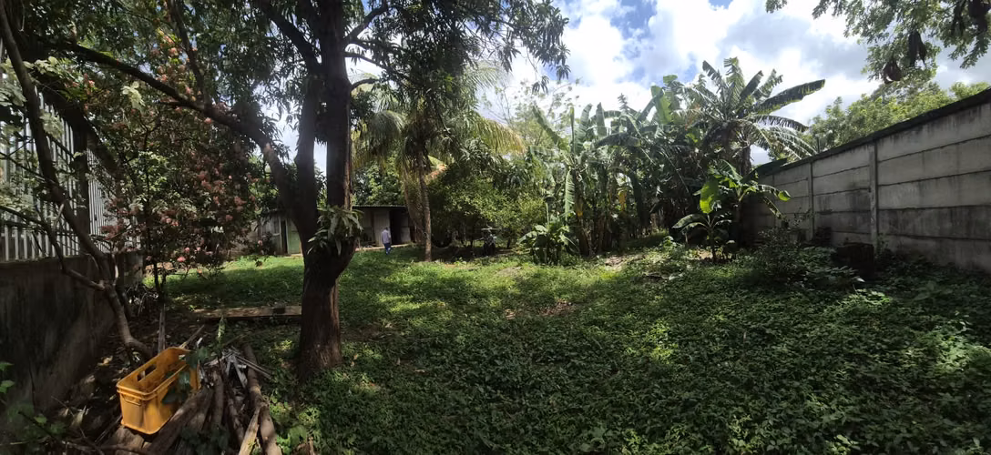 Venta de Terreno Plano en Km 10.8  Carretera  Vieja  León!! MP - Imagen 4