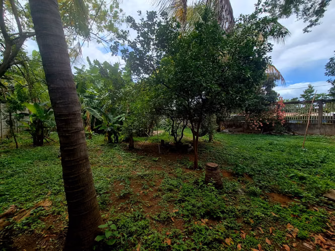 Venta de Terreno Plano en Km 10.8  Carretera  Vieja  León!! MP - Imagen 2