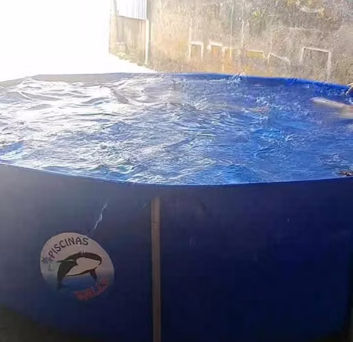 Piscina Willi 