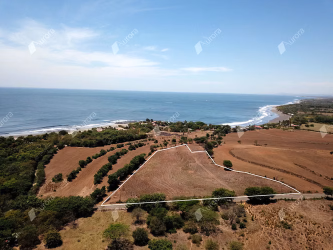 Aposentillo Surf Retreat   Ocean Breeze 5 Acre Sanctuary - Imagen 4