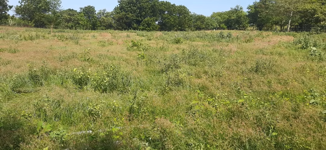 SE VENDE FINCA DE 37 MANZANAS. SAN RAFAEL DEL SUR