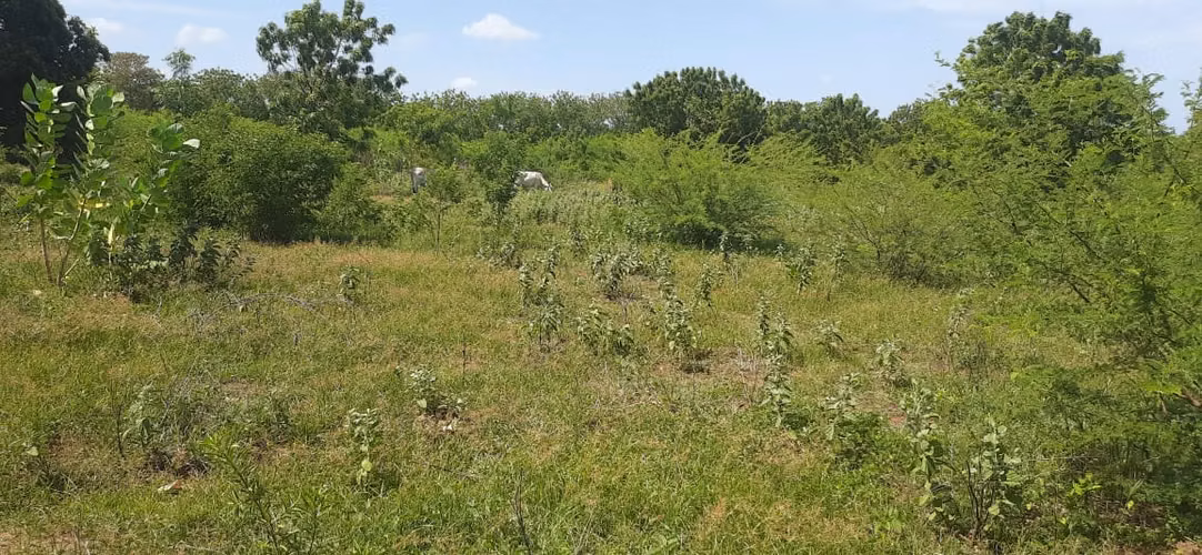SE VENDE FINCA DE 37 MANZANAS. SAN RAFAEL DEL SUR