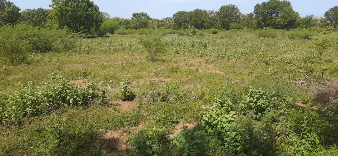 SE VENDE FINCA DE 37 MANZANAS. SAN RAFAEL DEL SUR