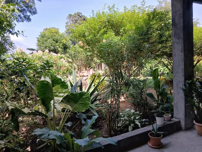 Precio negociable  propiedad en venta amplio terreno 