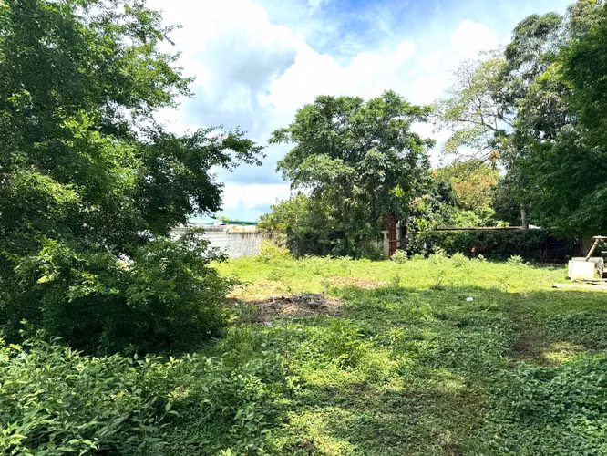 Venta de Terreno Carretera Ticuantepe  - Imagen 5