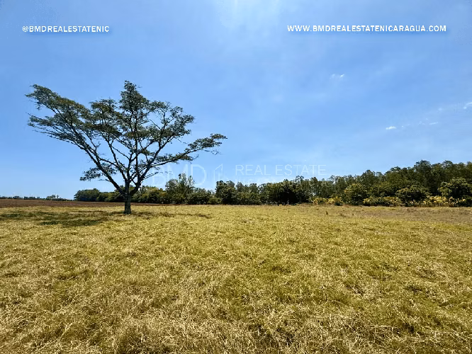 Oportunidad única de inversión en Aposentillo, Chinandega: 16.9 manzanas KG