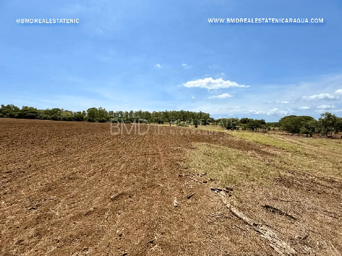 Oportunidad única de inversión en Aposentillo, Chinandega: 16.9 manzanas KG