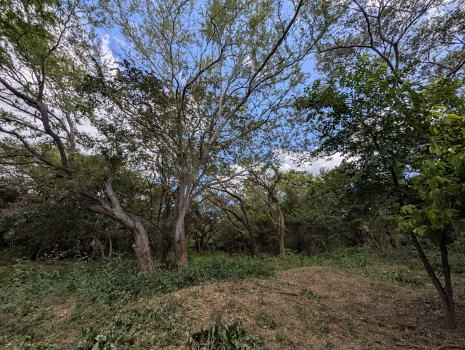 Venta de Terreno sobre la Carretera Panamericana Norte  - Imagen 6