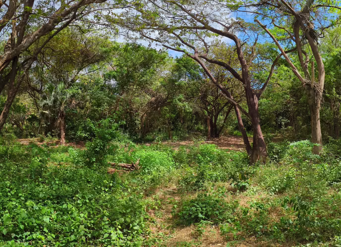Sale of land on the Pan American North Road