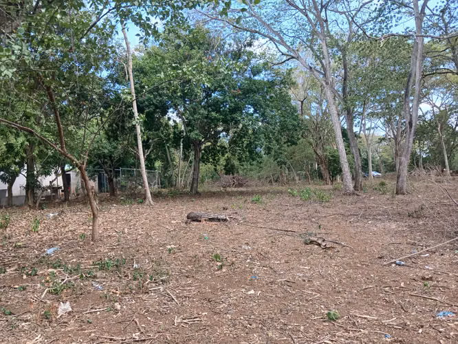Oportunidad de Inversión para Desarollo Residencial 