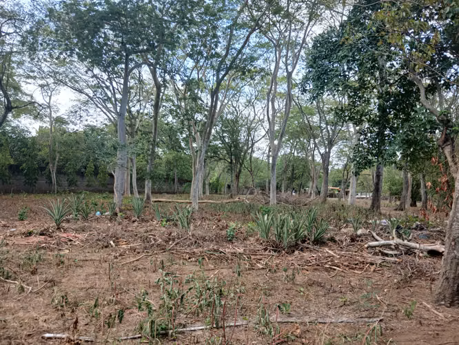 Oportunidad de Inversión para Desarollo Residencial 
