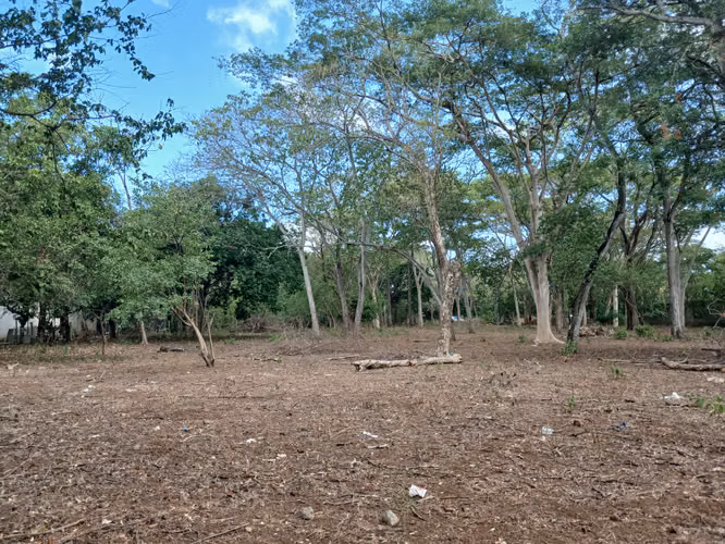 Oportunidad de Inversión para Desarollo Residencial 