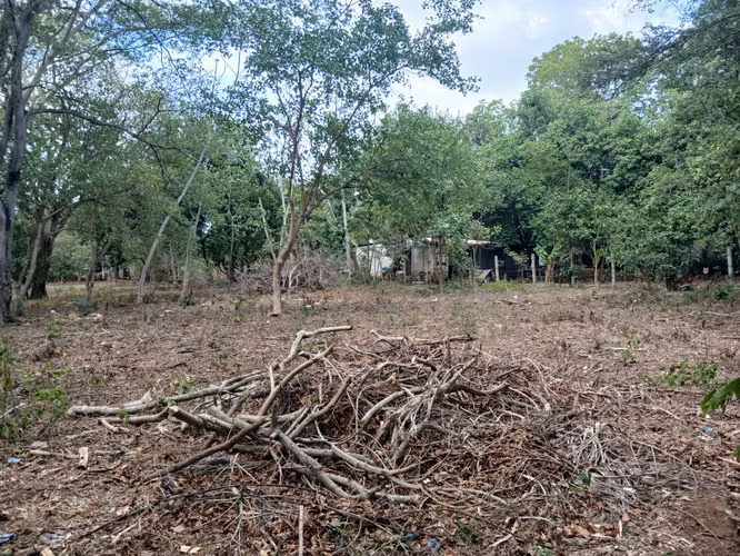 Oportunidad de Inversión para Desarollo Residencial 