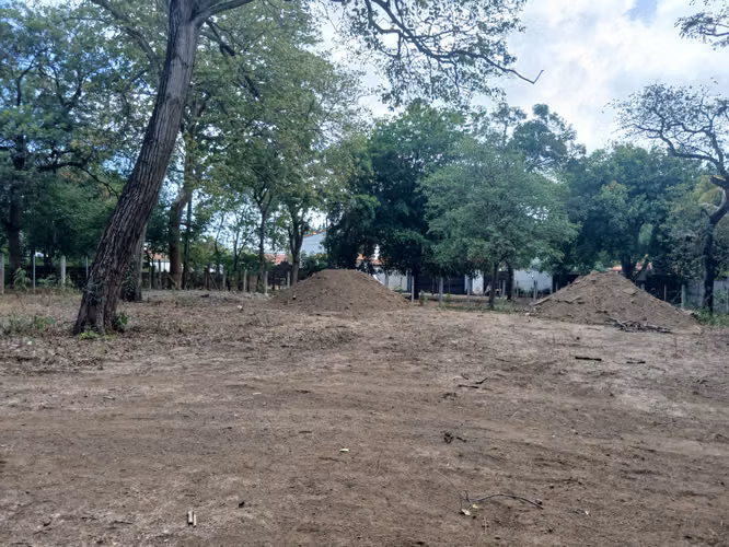 Oportunidad de Inversión para Desarollo Residencial 