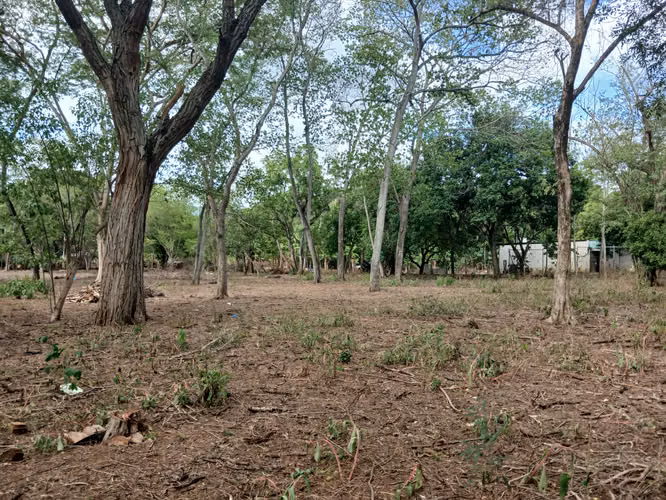 Oportunidad de Inversión para Desarollo Residencial 