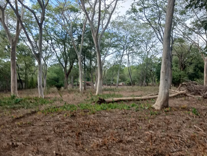 Oportunidad de Inversión para Desarollo Residencial 