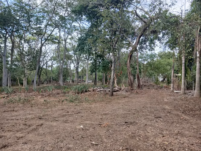 Oportunidad de Inversión para Desarollo Residencial 