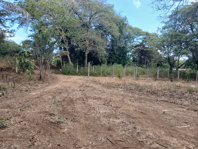 Oportunidad de Inversión para Desarollo Residencial 
