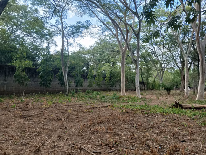 Oportunidad de Inversión para Desarollo Residencial 