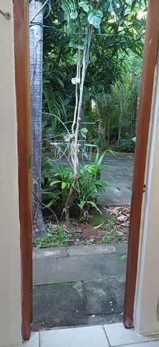 En renta apartamento en carretera sur