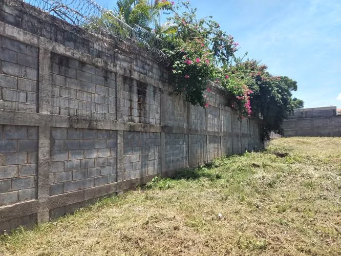 Lot in the city - Imagen 3