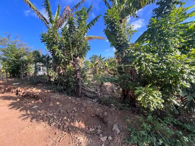 ¡TERRENO EN VENTA EN SANTO DOMINGO – EXCELENTE PARA LOTIFICAR! - Imagen 6
