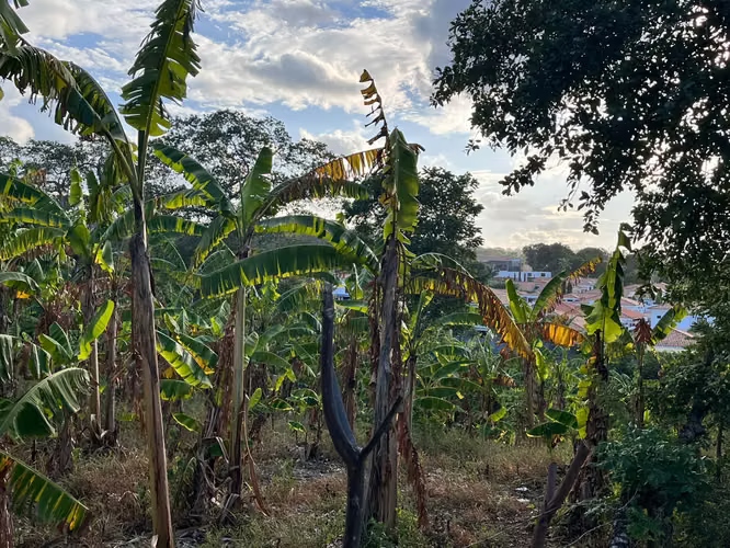 ¡TERRENO EN VENTA EN SANTO DOMINGO – EXCELENTE PARA LOTIFICAR! - Imagen 2