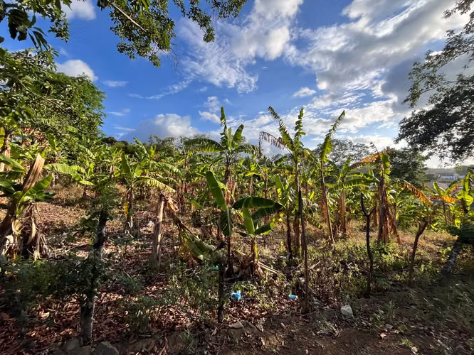 ¡TERRENO EN VENTA EN SANTO DOMINGO – EXCELENTE PARA LOTIFICAR! - Imagen 3