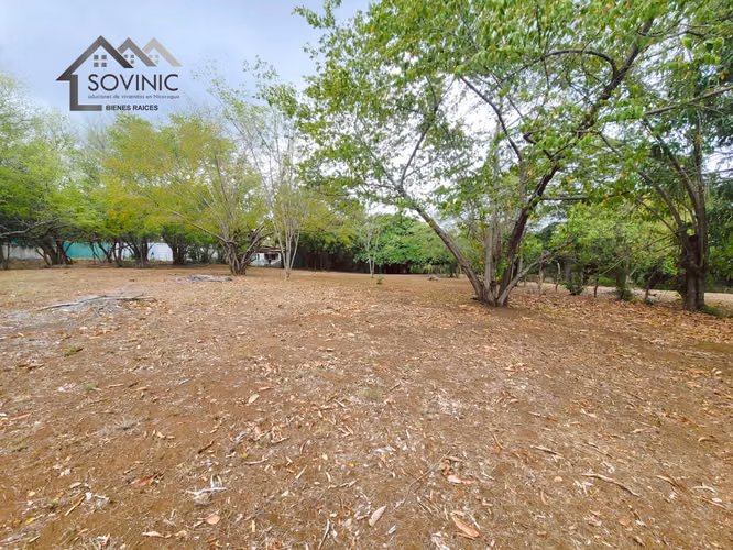 Terreno en Venta Carretera a Veracruz  - Imagen 2