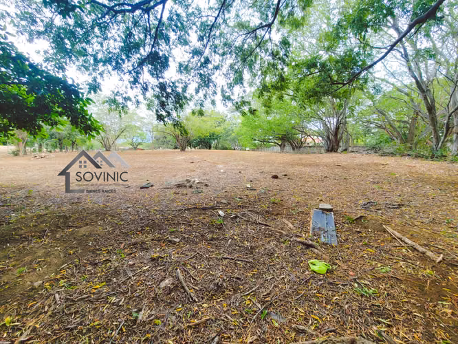 Terreno en Venta Carretera a Veracruz  - Imagen 3