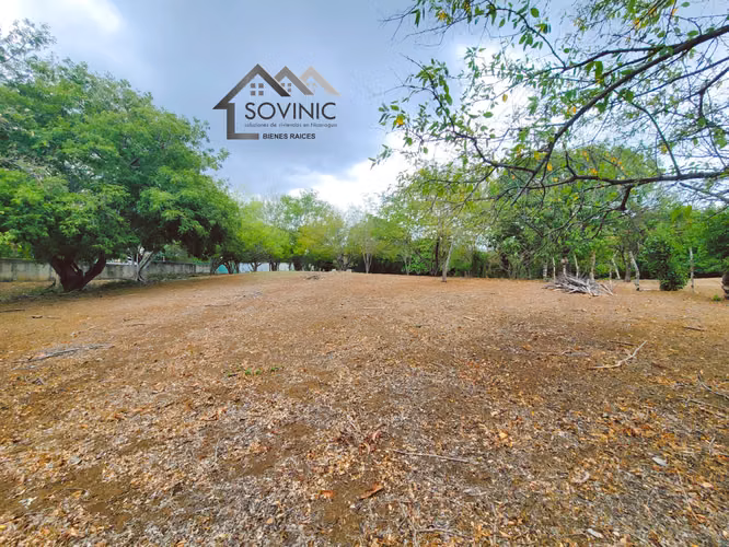 Land for Sale Road to Veracruz