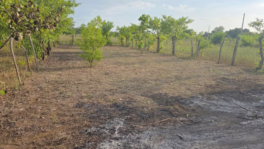 Venta de 2 solares  - Imagen 3
