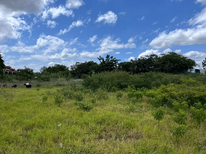 TERRENO EN VENTAEN ZONA INDUSTRIAL SABANA GRANDE