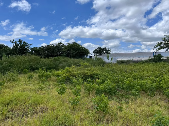 TERRENO EN VENTAEN ZONA INDUSTRIAL SABANA GRANDE
