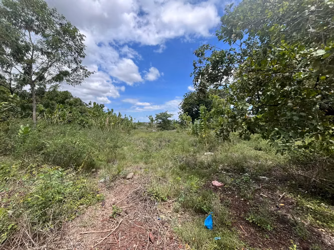 TERRENO EN VENTAEN ZONA INDUSTRIAL SABANA GRANDE