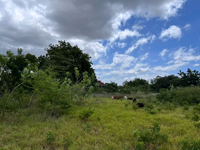 TERRENO EN VENTAEN ZONA INDUSTRIAL SABANA GRANDE