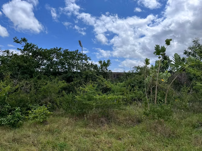 TERRENO EN VENTAEN ZONA INDUSTRIAL SABANA GRANDE