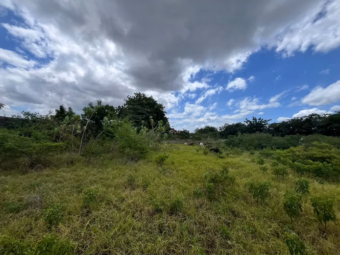 TERRENO EN VENTAEN ZONA INDUSTRIAL SABANA GRANDE