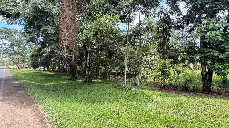 NUEVA GUINEA | TERRENO FRENTE A LA CARRETERA A MANAGUA OPORTUNIDAD ÚNICA  - Imagen 2