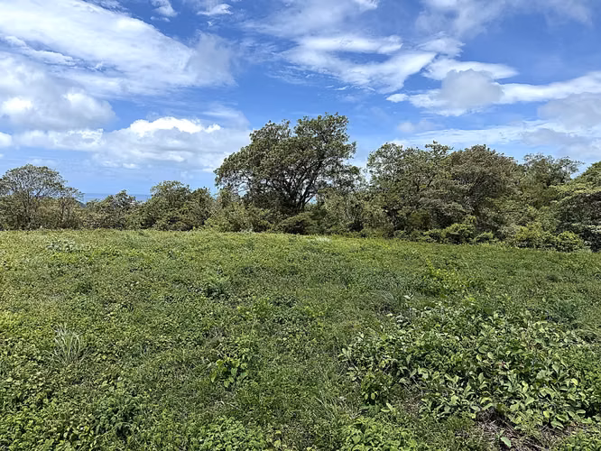 Panoramic Ocean View Lot Near TreeCasa in San Juan Del Sur, Nicaragua - Imagen 5