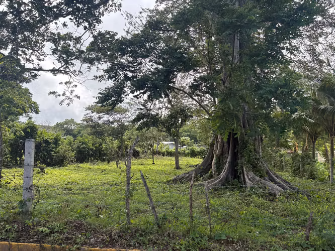 Land for sale in Dolores Carazo