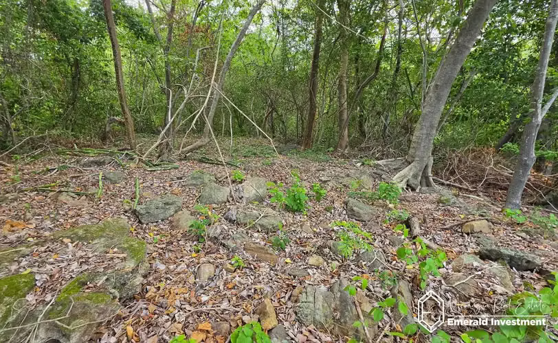 Lakefront Land Over 1 Acre in Laguna de Apoyo, Nicaragua - Imagen 7