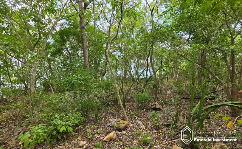 Lakefront Land Over 1 Acre in Laguna de Apoyo, Nicaragua - Imagen 10