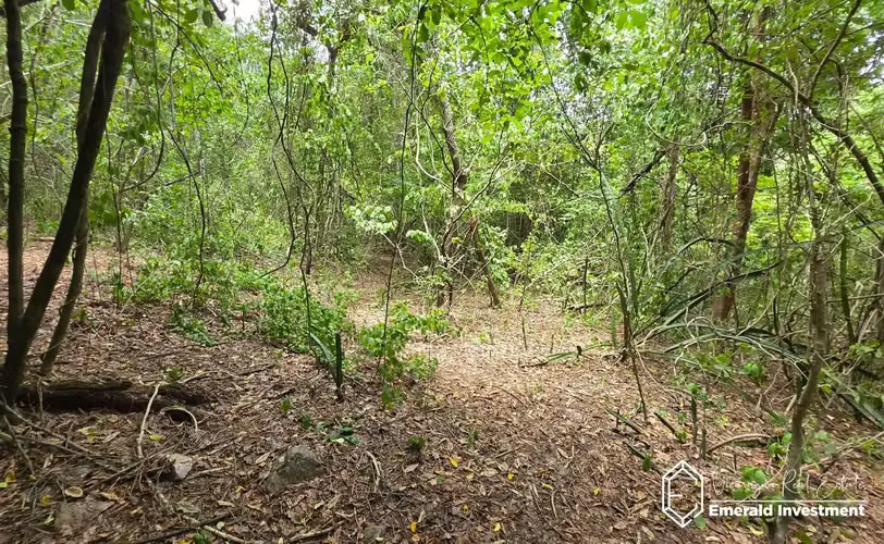 Lakefront Land Over 1 Acre in Laguna de Apoyo, Nicaragua - Imagen 4
