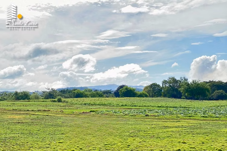  Terreno en Venta en Carretera a Masaya Km 15 - LL  - Imagen 3